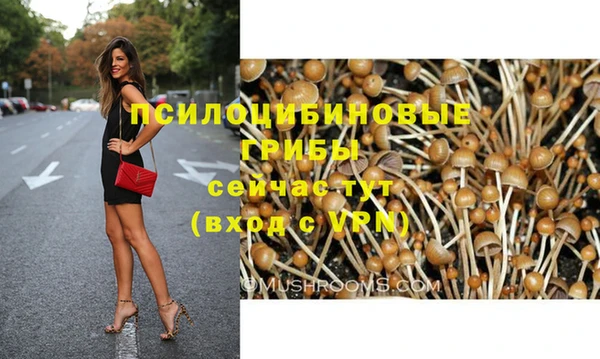 эйфоретик Елабуга