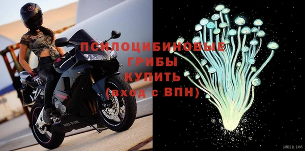 гашиш Ельня
