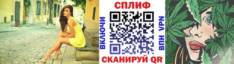 Купить закладки  Суоярви  Конопля план 